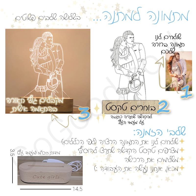 דיוקן תאורה הוראות